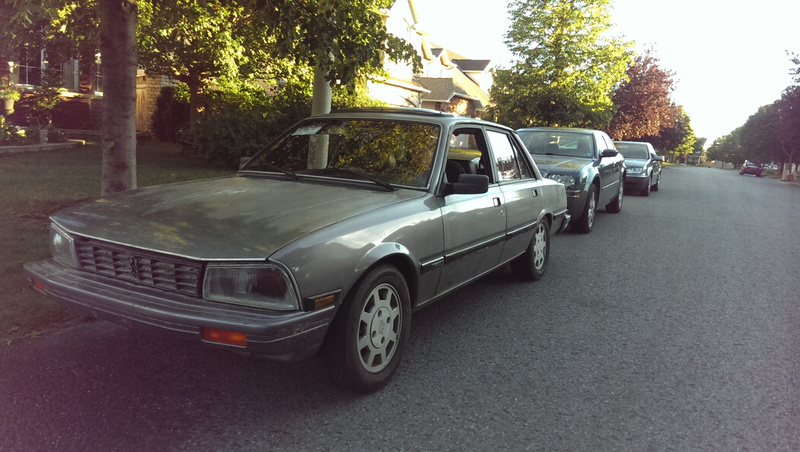 Illustration for article titled Just rescued a 505, what do you want to know?